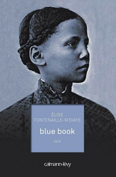 Blue book de Elise Fontenaille-N'Diaye
