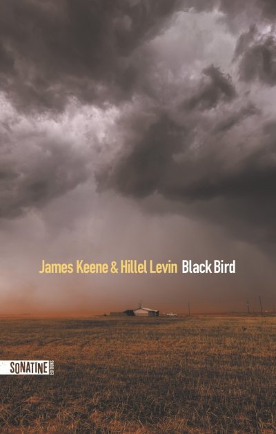 Black Bird de Hillel Levin