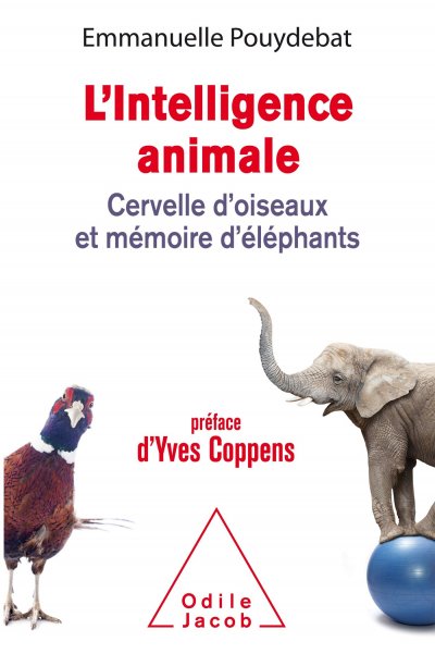 L'intelligence animale de Emmanuelle Pouydebat