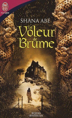 Le Voleur de Brume de Shana Abé