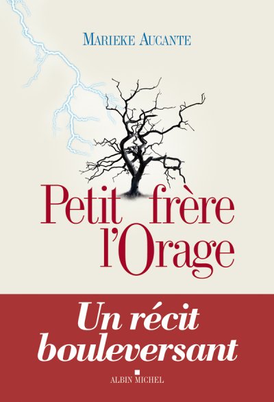 Petit frère l'Orage de Marieke Aucante