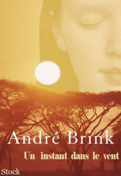 Un instant dans le vent de André Brink