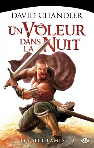 Un Voleur dans la Nuit de David Chandler