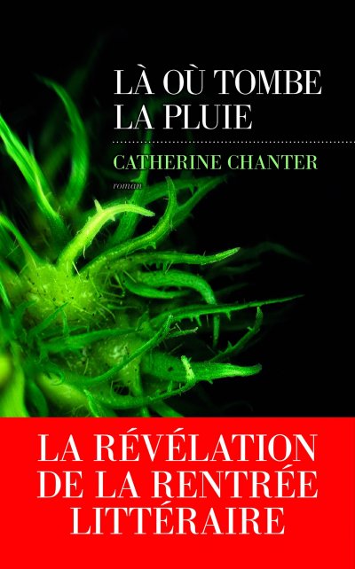 Là où tombe la pluie de Catherine Chanter