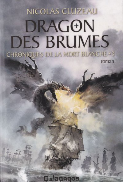 Dragon des brumes de Nicolas Cluzeau