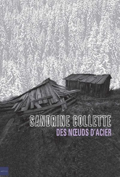 Des noeuds d'acier de Sandrine Collette