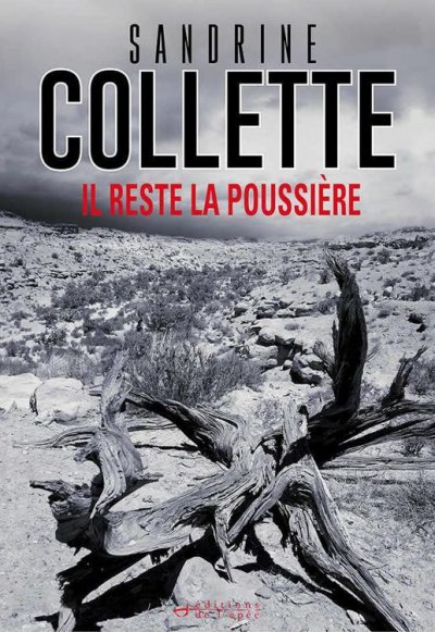 Il reste la poussière de Sandrine Collette