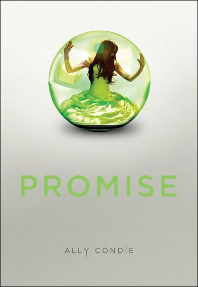 Promise de Ally Condie