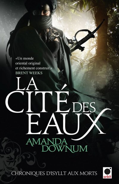 La Cité des eaux de Amanda Downum