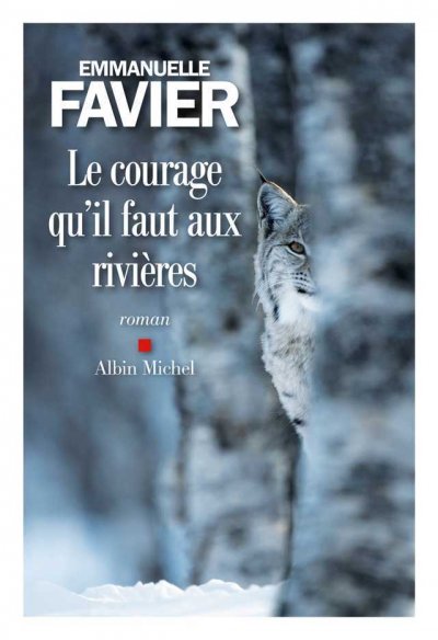 Le courage qu'il faut aux rivières de Emmanuelle Favier