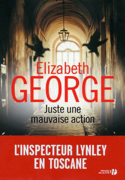 Juste une mauvaise action de Elizabeth George