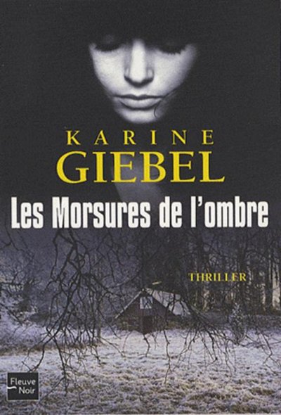 Les Morsures de l'ombre de Karine Giébel