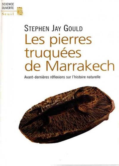 Les pierres truquées de Marrakech de Stephen Jay Gould