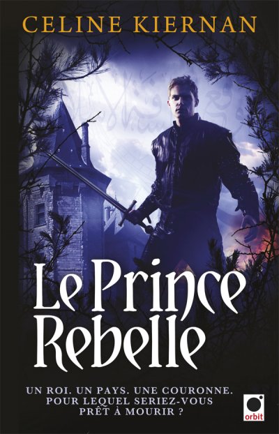 Le Prince Rebelle de Celine Kiernan