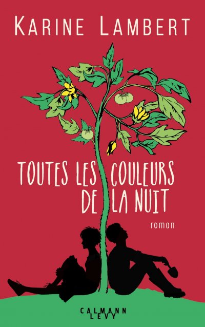 Toutes les couleurs de la nuit de Karine Lambert