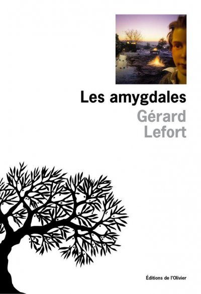 Les amygdales de Gérard Lefort