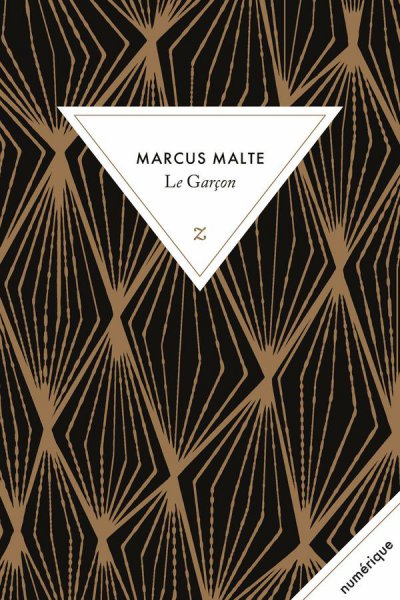 Le Garçon de Marcus Malte