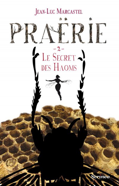 Le secret des Haoms de Jean-Luc Marcastel