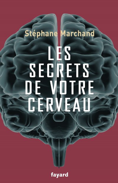 Les secrets de votre cerveau de Stéphane Marchand