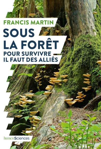 Sous la forêt : Pour survivre il faut des alliés de Francis Martin