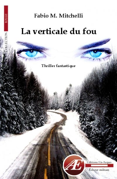 La verticale du fou de Fabio M. Mitchelli