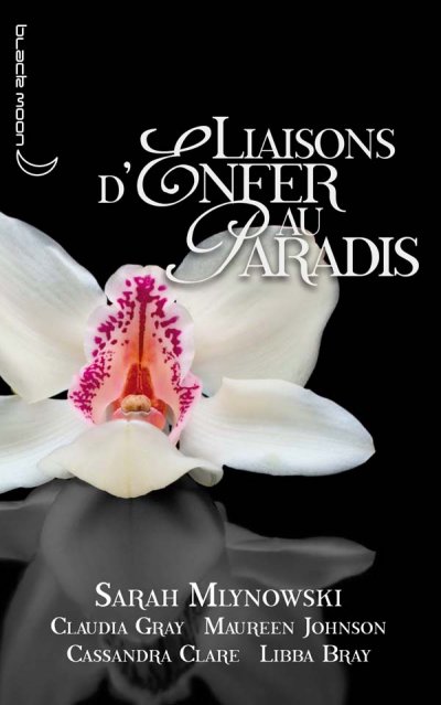 Liaisons d'enfer au paradis de Sarah Mlynowski