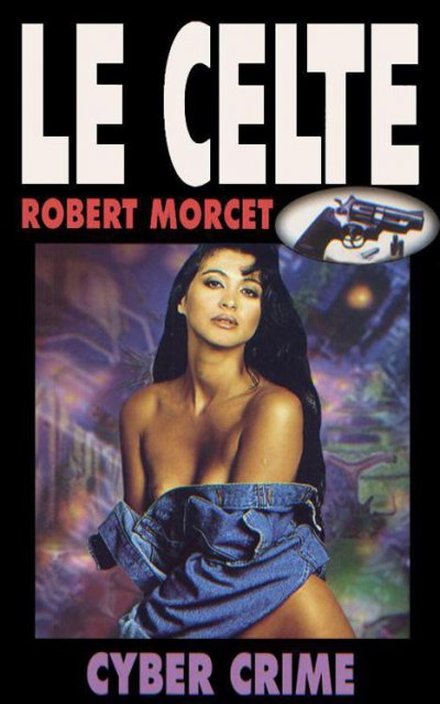 Cyber Crime de Robert Morcet