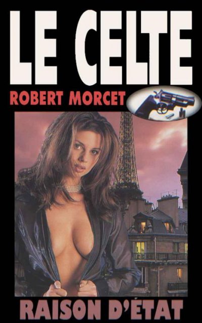 Raison d'Etat de Robert Morcet