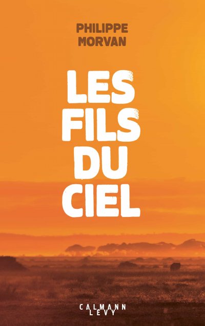 Les fils du ciel de Philippe Morvan