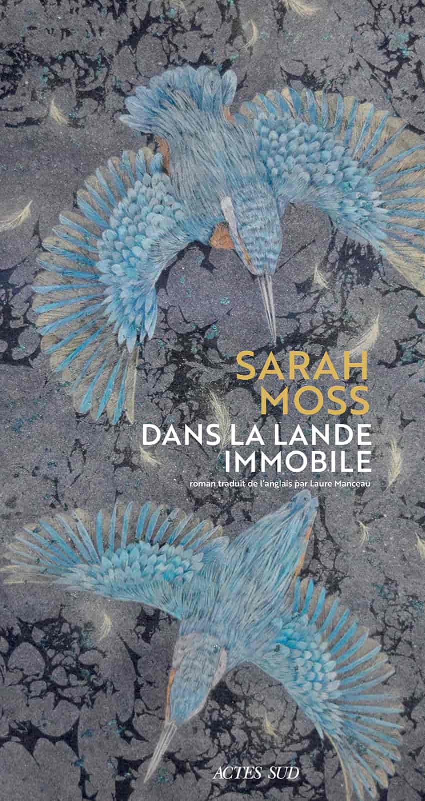 Dans la lande immobile de Sarah Moss