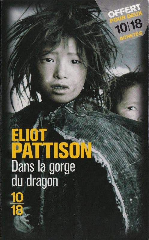 Dans la gorge du dragon de Eliot Pattison