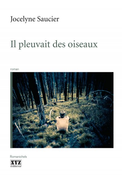 Il pleuvait des oiseaux de Jocelyne Saucier