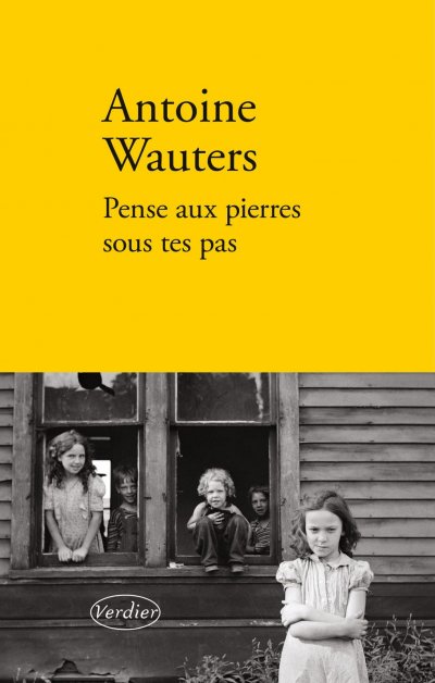 Pense aux pierres sous tes pas de Antoine Wauters