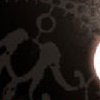 Cible du safari du 4/11/2015 